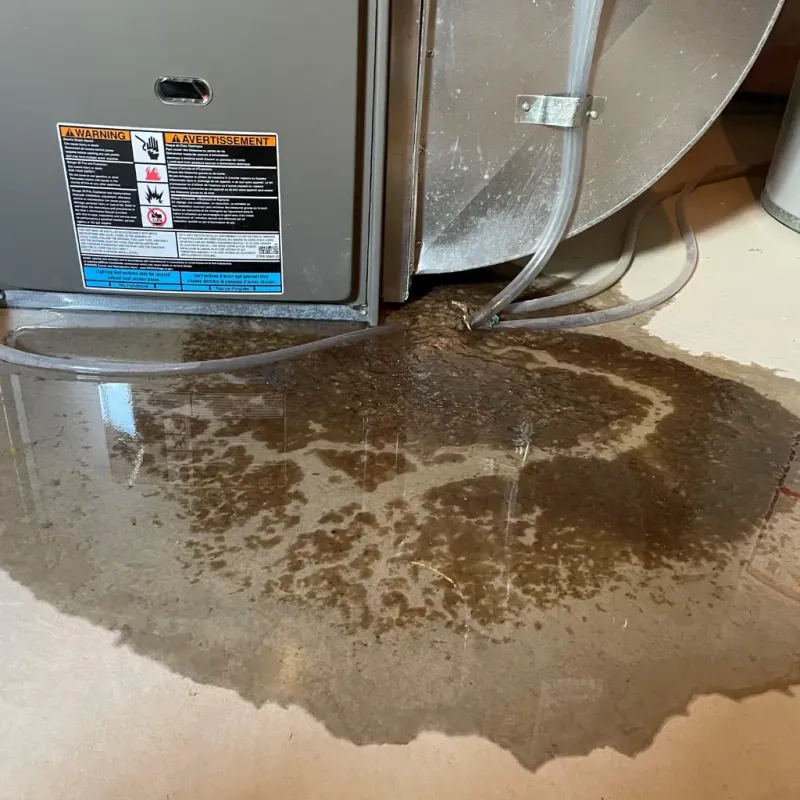 Appliance Leak Cleanup in Wymore, NE